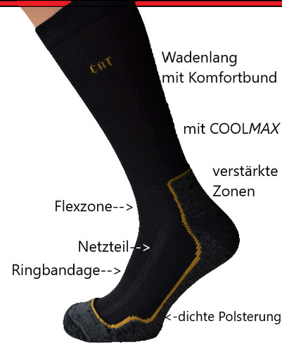 Paar cat caterpillar - 10,